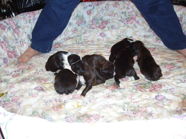 bear and bella 2 weeks 056
