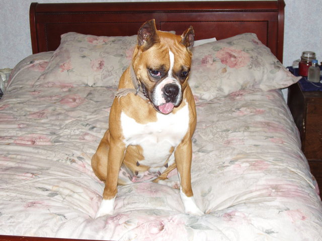 GRACIE 010